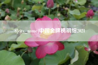 邹城中国金牌榜明细2021