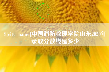 邹城中国消防救援学院山东2020年录取分数线是多少