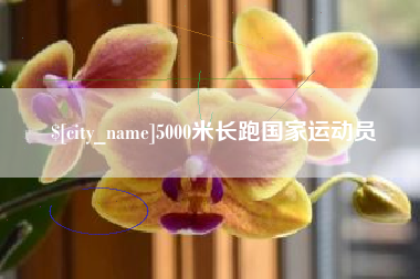 邹城5000米长跑国家运动员