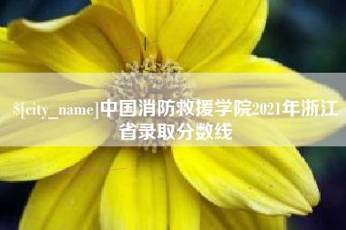 邹城中国消防救援学院2021年浙江省录取分数线