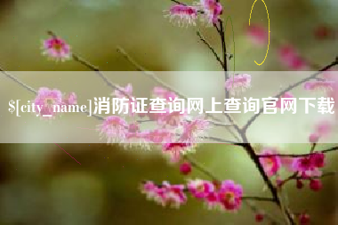 邹城消防证查询网上查询官网下载