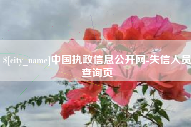 邹城中国执政信息公开网-失信人员查询页