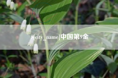 邹城中国第9金