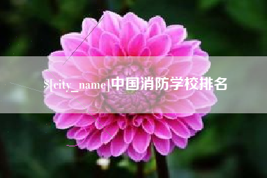 邹城中国消防学校排名