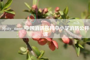 邹城中国消防官网中小学消防公开课
