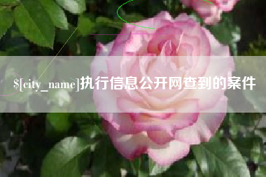 邹城执行信息公开网查到的案件