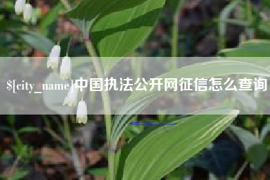 邹城中国执法公开网征信怎么查询