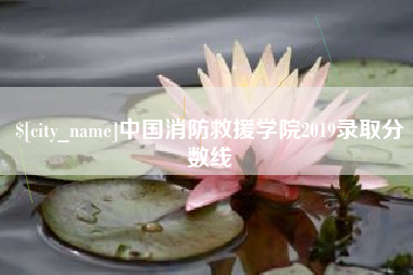 邹城中国消防救援学院2019录取分数线