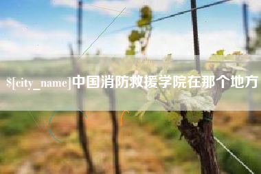 邹城中国消防救援学院在那个地方