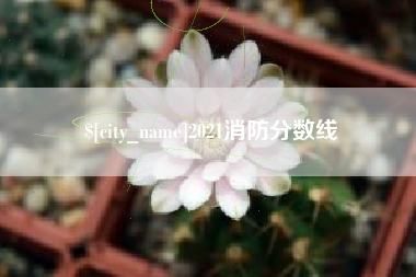 邹城2021消防分数线