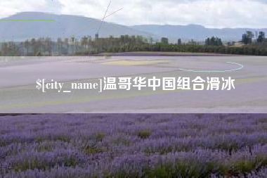 邹城温哥华中国组合滑冰