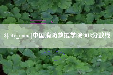 邹城中国消防救援学院2018分数线