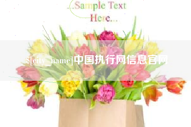 邹城中国执行网信息官网
