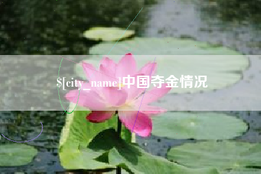 邹城中国夺金情况