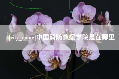 邹城中国消防救援学院是在哪里