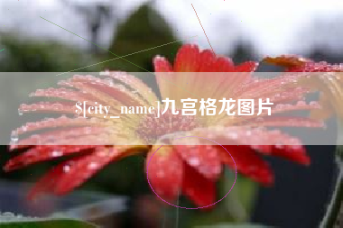 邹城九宫格龙图片