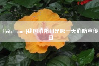 邹城我国消防日是哪一天消防宣传日