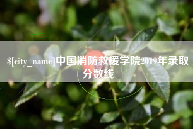 邹城中国消防救援学院2019年录取分数线