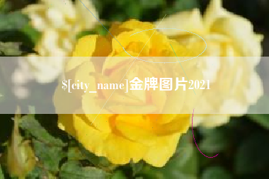 邹城金牌图片2021