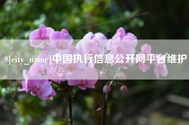 邹城中国执行信息公开网平台维护