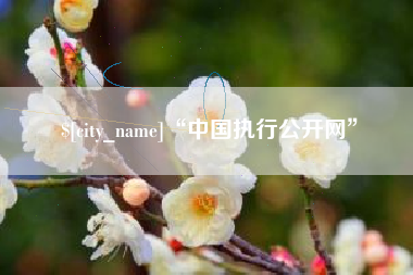 邹城“中国执行公开网”