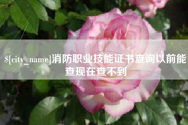 邹城消防职业技能证书查询以前能查现在查不到