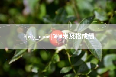 邹城5000米及格成绩