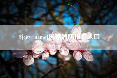 邹城国家消防报名入口
