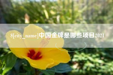 邹城中国金牌是哪些项目2021