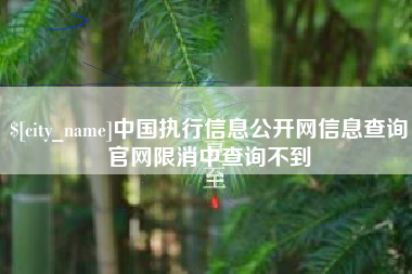 邹城中国执行信息公开网信息查询官网限消中查询不到