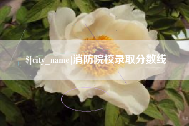 邹城消防院校录取分数线
