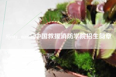 邹城中国救援消防学院招生简章