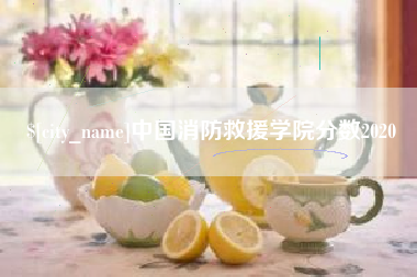 邹城中国消防救援学院分数2020