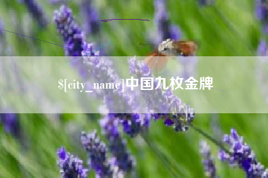 邹城中国九枚金牌