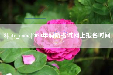邹城2020年消防考试网上报名时间