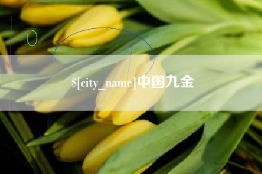 邹城中国九金