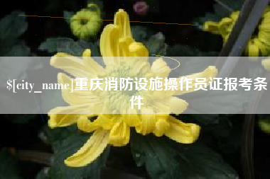 邹城重庆消防设施操作员证报考条件