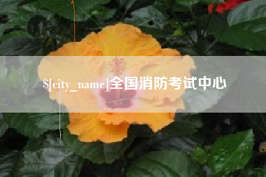 邹城全国消防考试中心