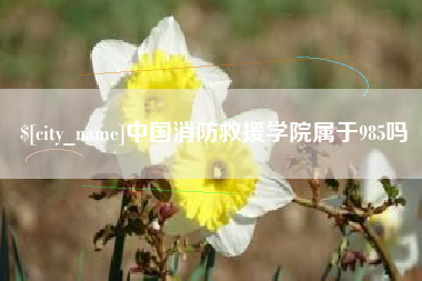邹城中国消防救援学院属于985吗