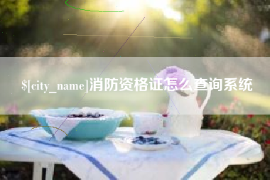 邹城消防资格证怎么查询系统