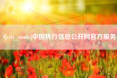 邹城中国执行信息公开网官方服务
