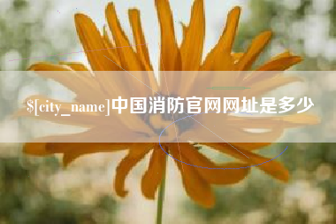 邹城中国消防官网网址是多少