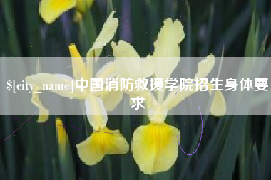 邹城中国消防救援学院招生身体要求