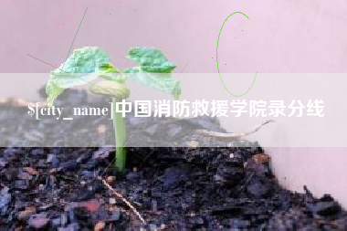 邹城中国消防救援学院录分线