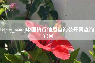 邹城中国执行信息查询公开网查询官网