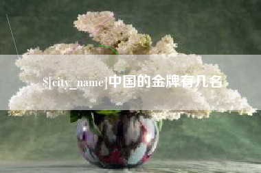 邹城中国的金牌有几名