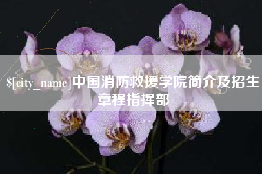 邹城中国消防救援学院简介及招生章程指挥部
