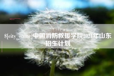 邹城中国消防救援学院2021年山东招生计划
