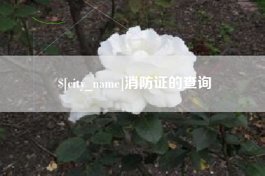 邹城消防证的查询