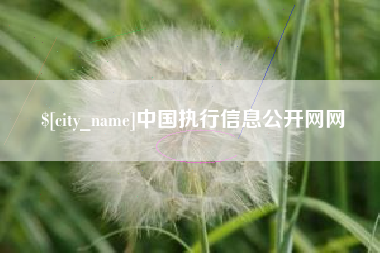 邹城中国执行信息公开网网